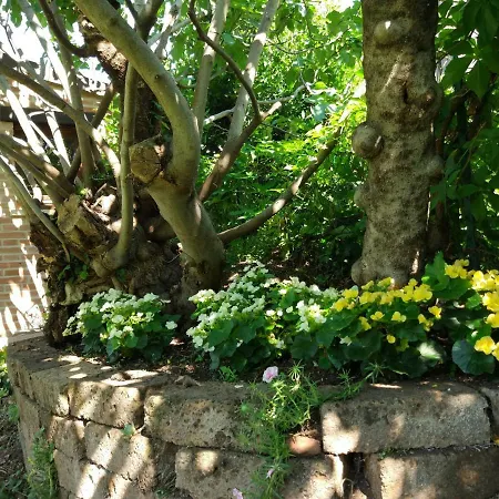 Veronauptoyou Courtyard *